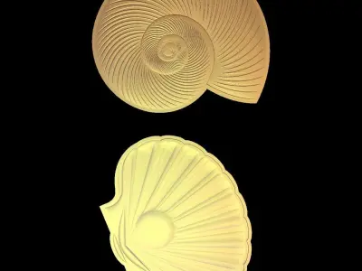 Two Shells Suitable for embossing Hot Foil Technique 3D model