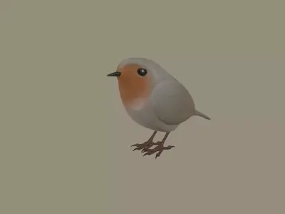 European Robin Bird 3D model