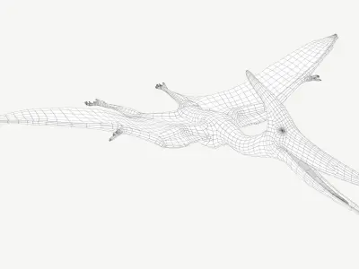 Pteranodon dinosaur Low-poly 3D model