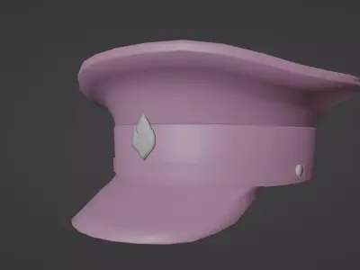 Siamese cap 1905 3D model