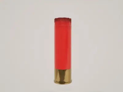 12 Gauge Buckshot 3D model