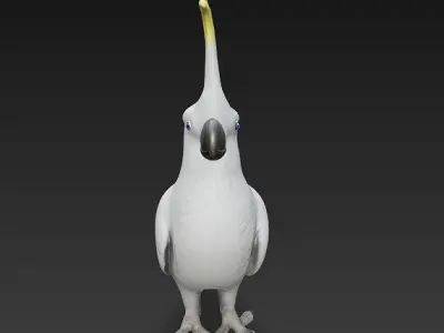Cockatoo Parrot 3D Model Basic - Low Poly Simple Low-poly 3D model