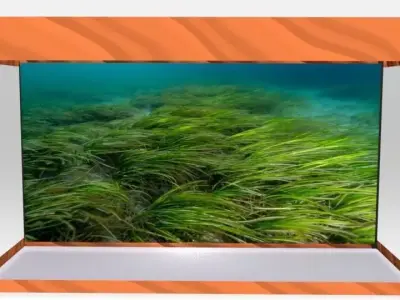 aquarium glass case with grass in it Low-poly 3D model