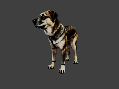 Dog Animal Low-poly 3D model