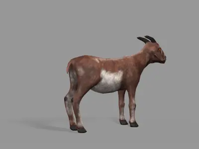 Goat Lowpoly horse Low-poly 3D model