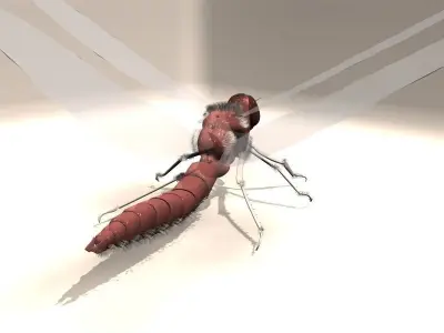 Insect with long tail Low-poly 3D model