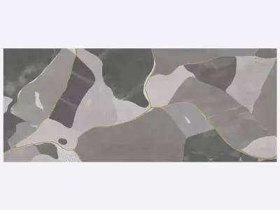 Wallpaper Birds Eye View Free 3D model