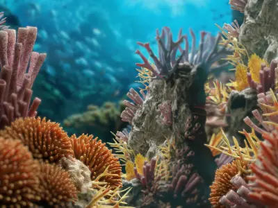 Lowpoly Coral Pack Low-poly 3D model