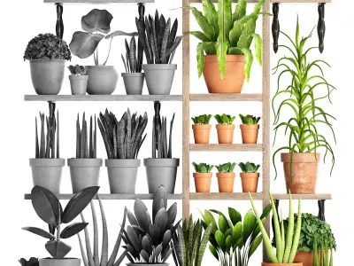 collection of plants in clay pots PART 2 3D model