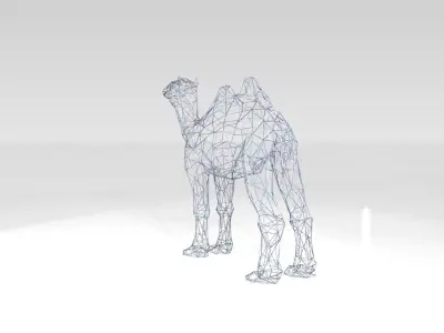 Camel Wireframe 3D model
