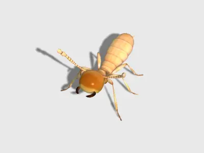 rigged animated termite white ant Low-poly 3D model