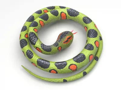 Rubber Snake 3D model