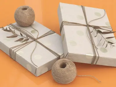 Gift Box Wrapped Jute Twine with Decorative Twig 3D model