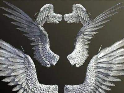 Pair of Bird  Wings 3DS Max Low-poly 3D model