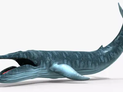 Realistic Blue Whale 3D Model Rigged 3D model