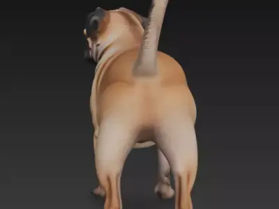 3D model PUG REALISTIC DOG 3D model