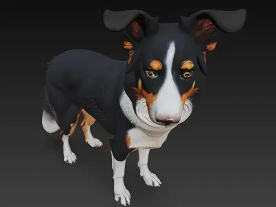 Border Collie Dog Realistic 3D Model - Low Poly Realistic Low-poly 3D model