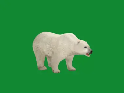 Polar Bear Free low-poly 3D model