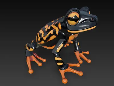 Frog Poisonous Realistic 3D Model Basic - Low Poly Realistic Low-poly 3D model