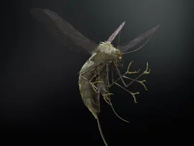 FlyingBug1 A1 Low-poly 3D model