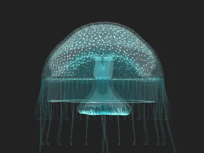 Jelly Fish Low-poly 3D model