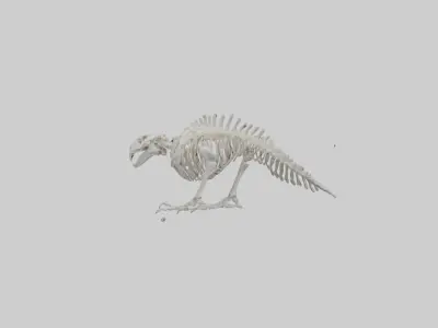 Eagle Talon Skeleton model Low-poly 3D model