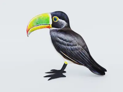 Toucan Free 3D model