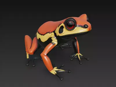 Frog  Poisonous Realistic 3D Model Basic - Low Poly Realistic Low-poly 3D model