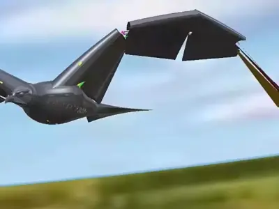 German Iron Eagle - Der deutsche Adler 3D model