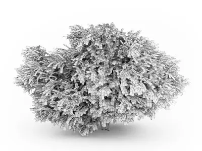 Desert False Indigo 3D model