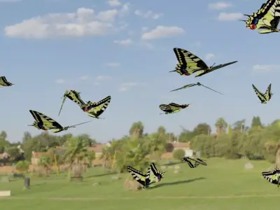 Mahaon butterfly animation Low-poly 3D model