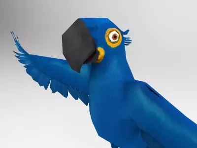 Blue Bird Parrot  Low-poly 3D model