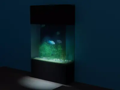 Big Fish Tank Free 3D model