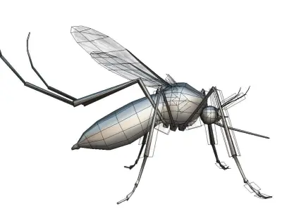 LowPoly Big Realistic Mosquito Low-poly 3D model