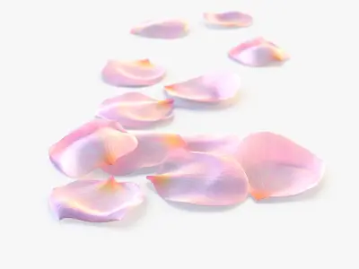 Realistic Rose Petals 3D Model - Ultra-High Quality 4K PBR Asset 3D model