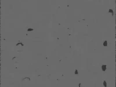 Cute Chibi Orange Baby Dragon 3D Model Low-poly 3D model