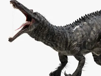 Suchomimus tenerensis Low-poly 3D model
