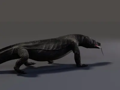 Komodo Dragon Low-poly 3D model