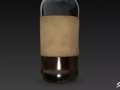 Molotov Plain Low-poly 3D model