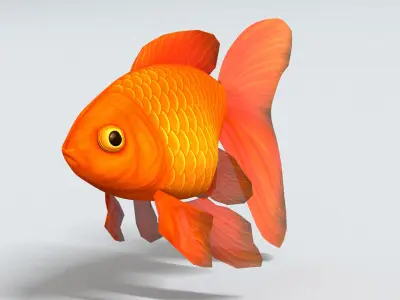 laos Goldfish Low-poly 3D model