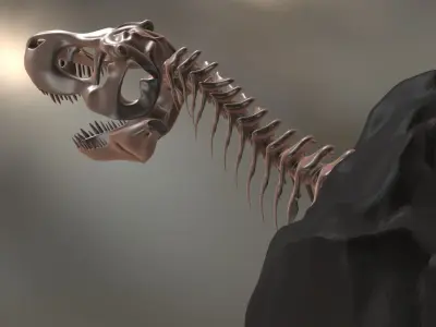 Tyrannosaurus Cranium Low-poly 3D model