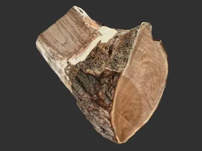 A peeling piece of wood 3d scan in highpoly 3D model