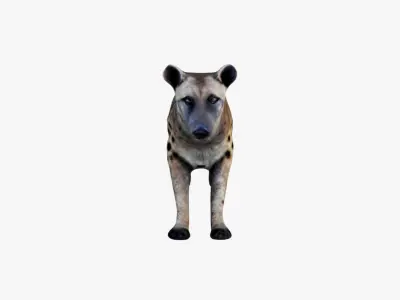 Hyena Free 3D model