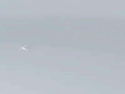 Avro Avian Sports Free 3D model