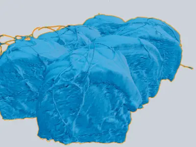 Sushi Rolls with tataki salmon and chili pepper threads  3D model