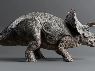 TRICERATOPS Low-poly 3D model
