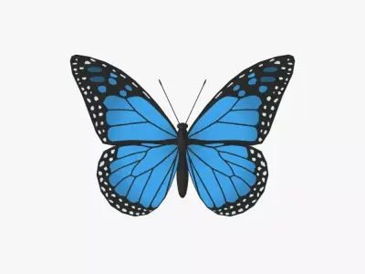 Butterfly Low-poly 3D model