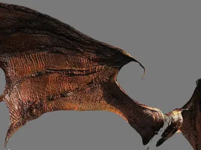 Ancient Jurassic Dragon Wings 2 wider 3D model