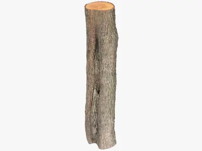 Logs Collection V3 3D model