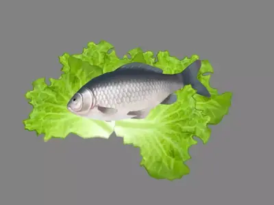 Cartoon fish and vegetable Low-poly 3D model